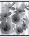 Armine Amaris Floral Silk Scarf